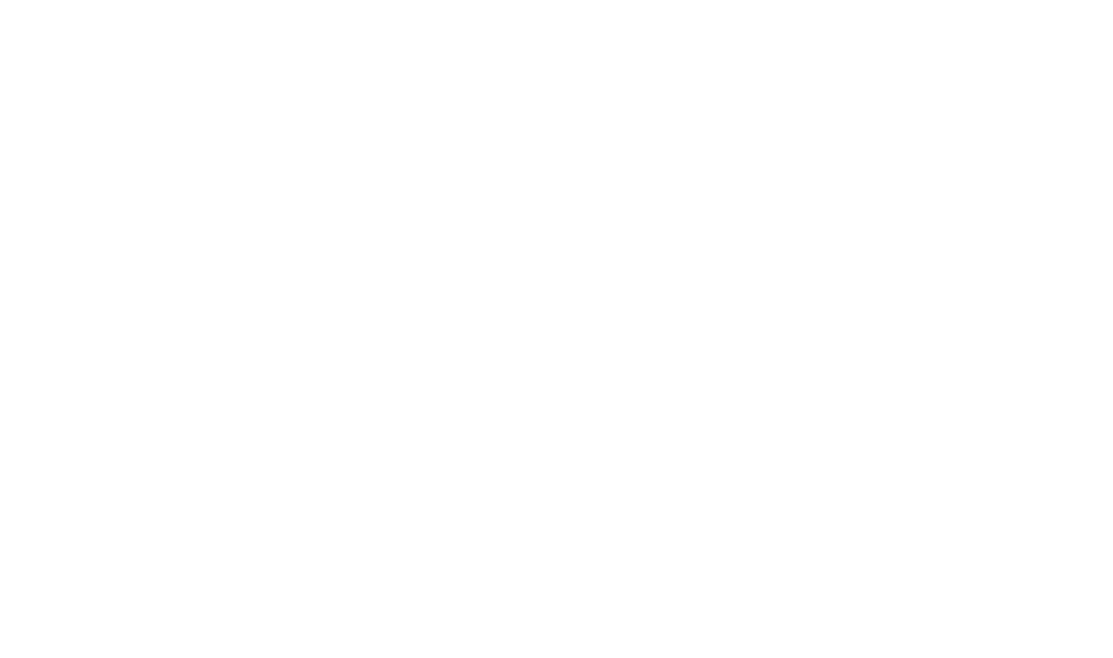 Die Ringdorferin